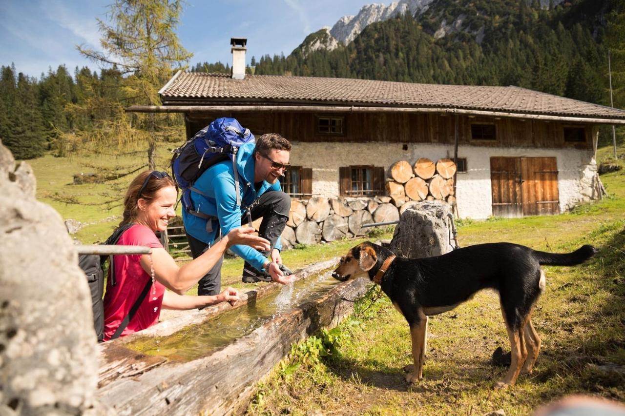Alpenlodge, Ferienwohnung 16 Thiersee Zewnętrze zdjęcie